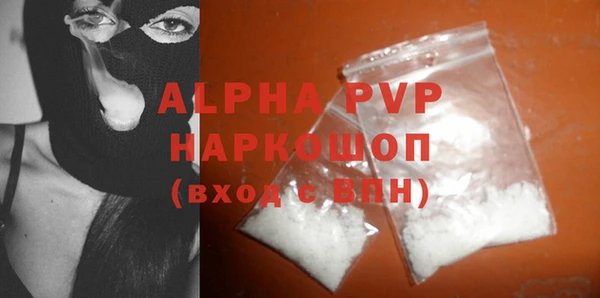 прущие грибы Абаза