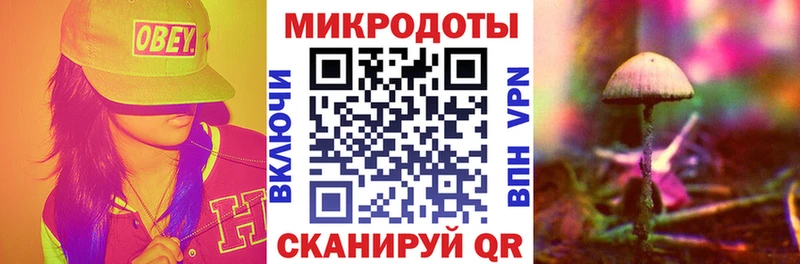 Псилоцибиновые грибы MAGIC MUSHROOMS  как найти наркотики  Хилок 